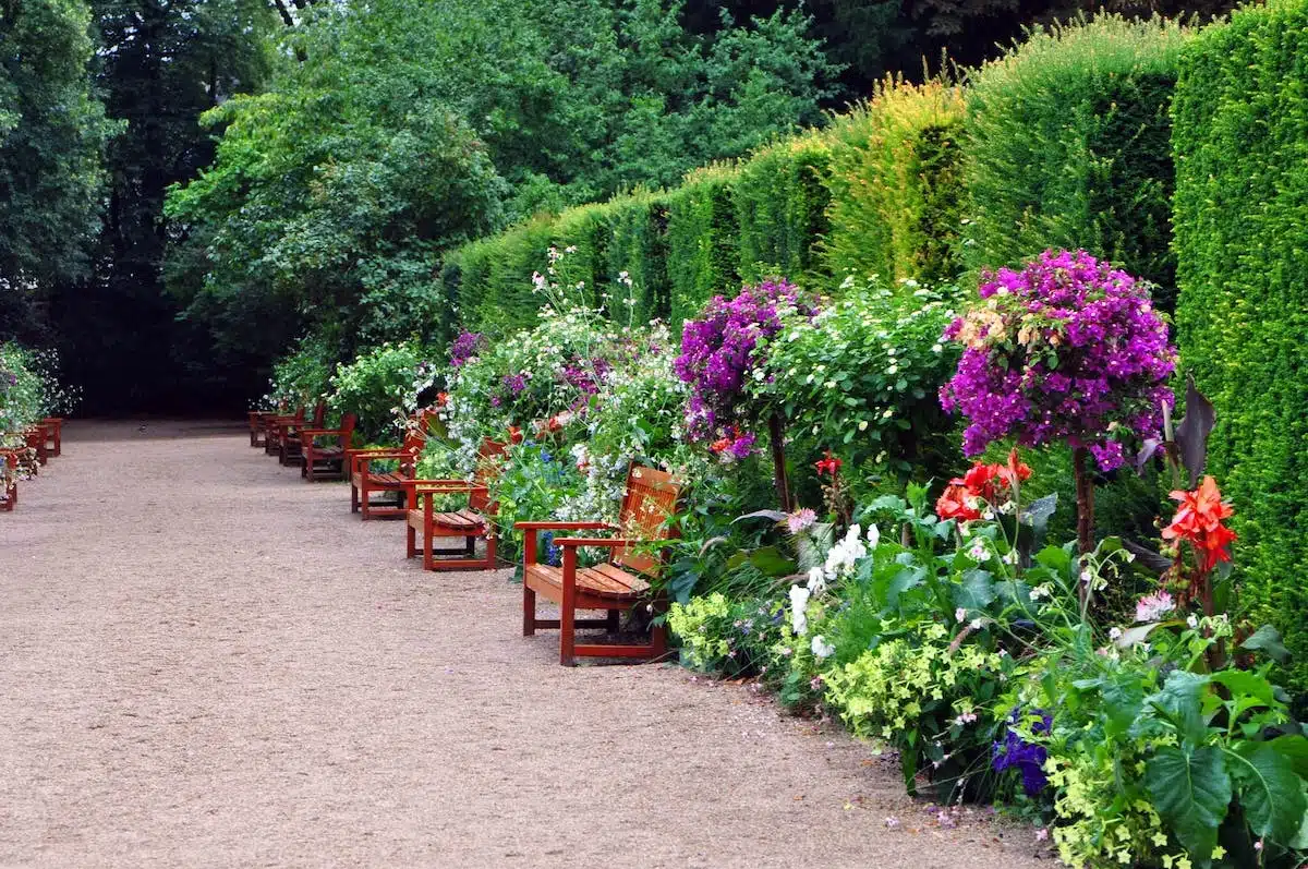 plantes  jardin