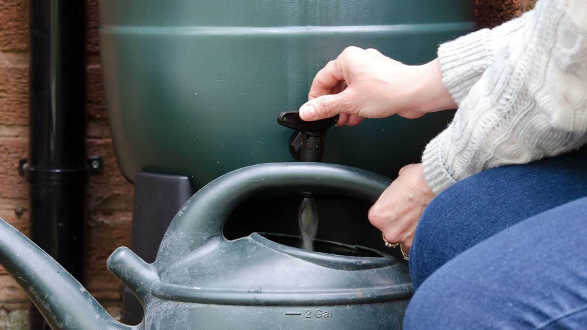 Comment choisir et installer une cuve d'eau de pluie