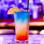 Comment bien choisir son Shaker professionnel ?