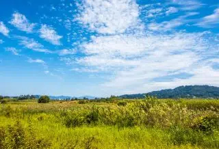 Comment bien choisir un terrain à construire ?