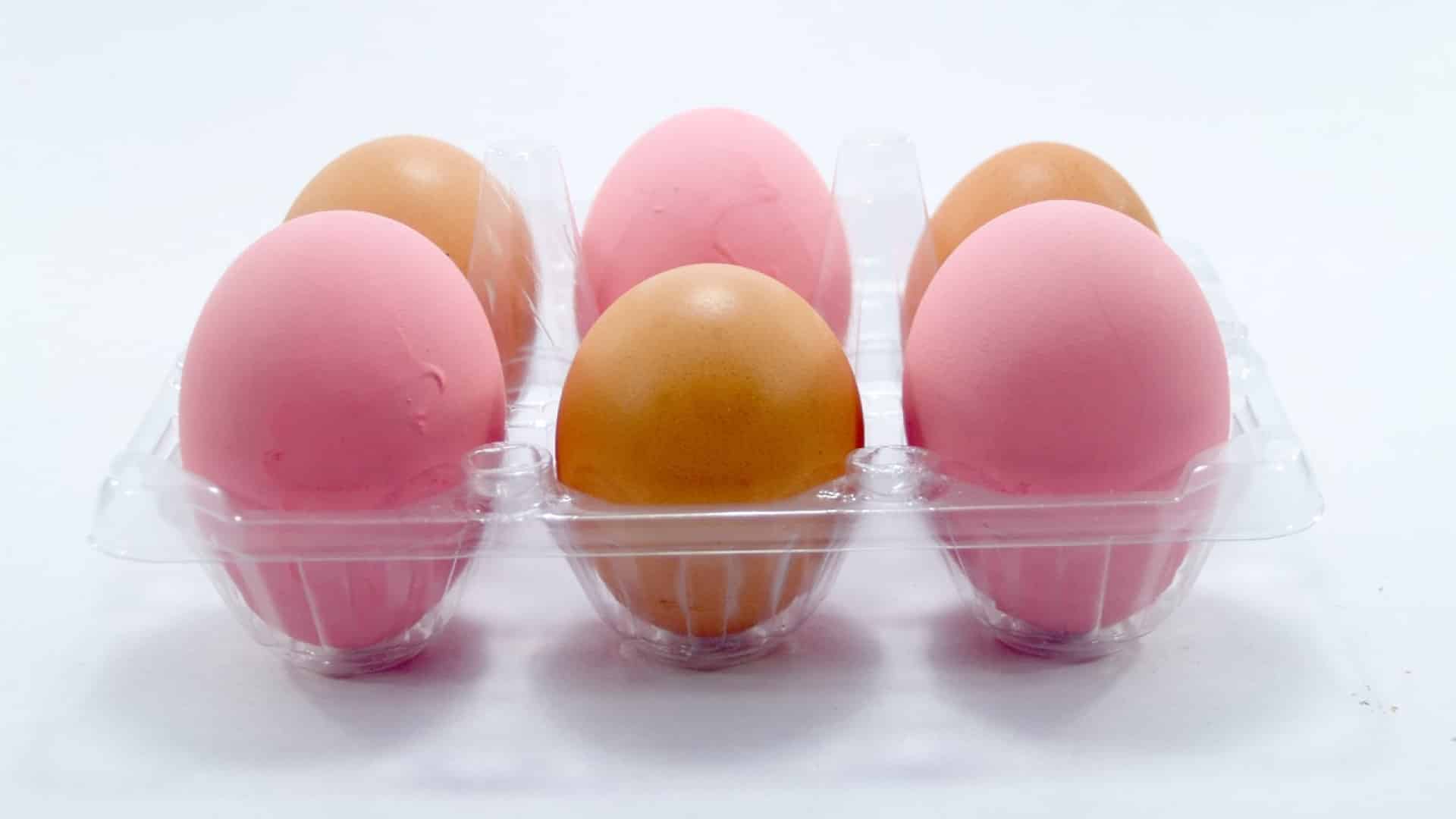 La conservation des aliments demande de la rigueur