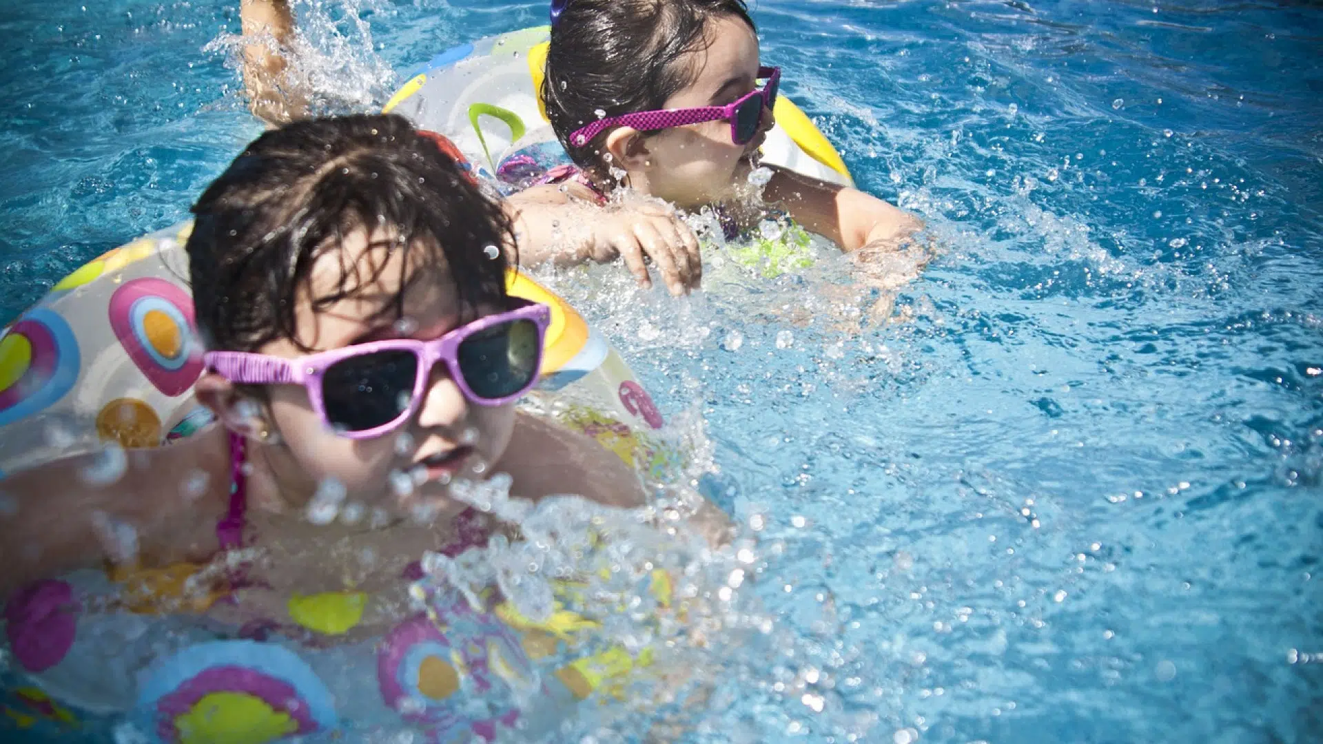 La piscine biologique : ce qu'il faut retenir